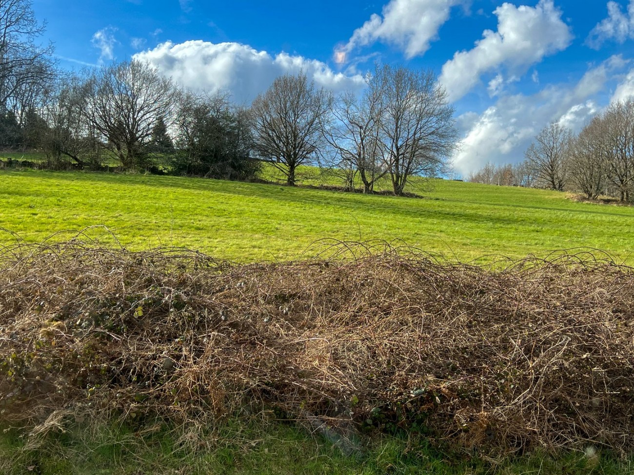 Images for Wood Lane, Holmfirth