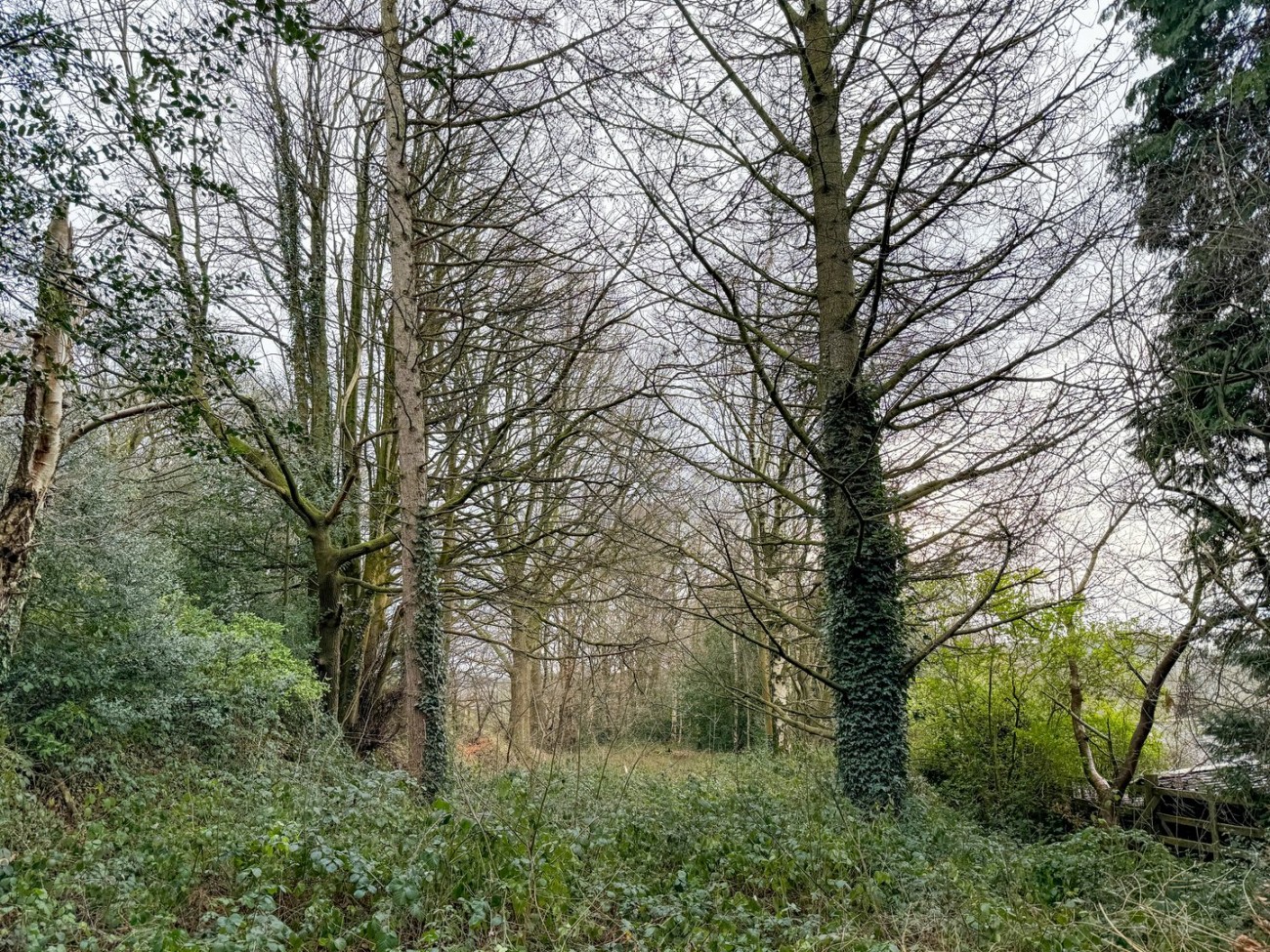 Images for Brockholes, Holmfirth
