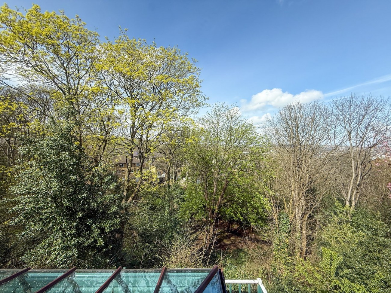 Images for Newsome, Huddersfield