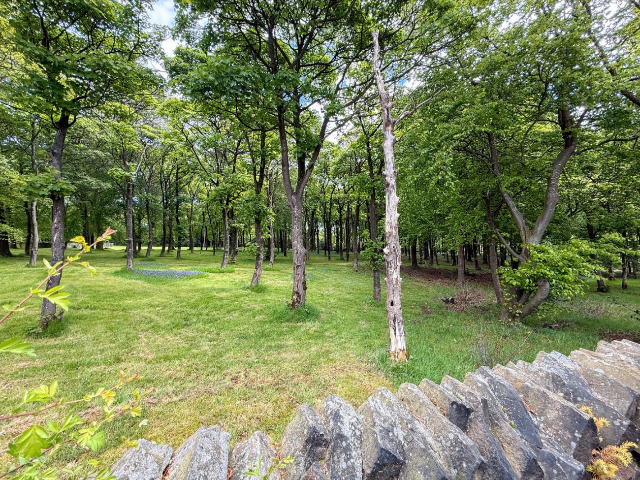 Images for Meltham, Holmfirth