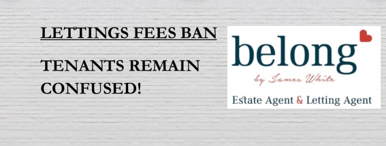 Lettings Fees Ban